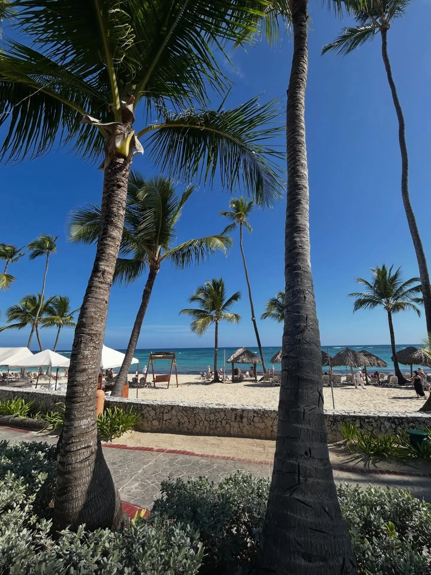 What a lovely trip to the Dominican! The sun, heat, beautiful ocean was exactly what I needed. We&rsquo;re back in the frigid cold. I&rsquo;m looking forward to anything above zero 😊

#puntacana #winterescape #sunnyday☀️