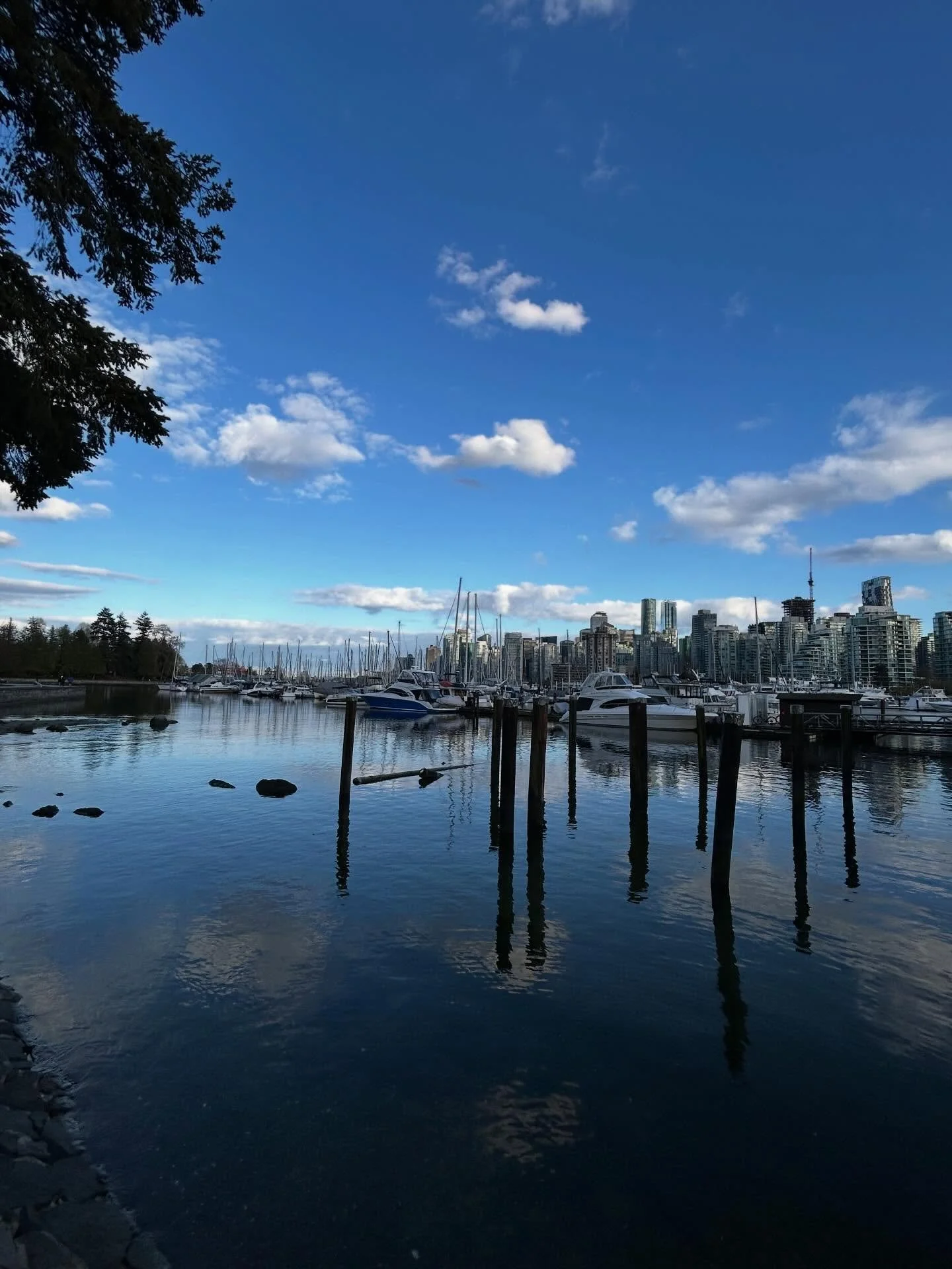 It&rsquo;s always great to be home on the west coast. Walking in Stanley Park, afternoon meal, and sablefish for dinner. A perfect day ☀️

#vancouver #beautifulbc #stanelypark #seafood
