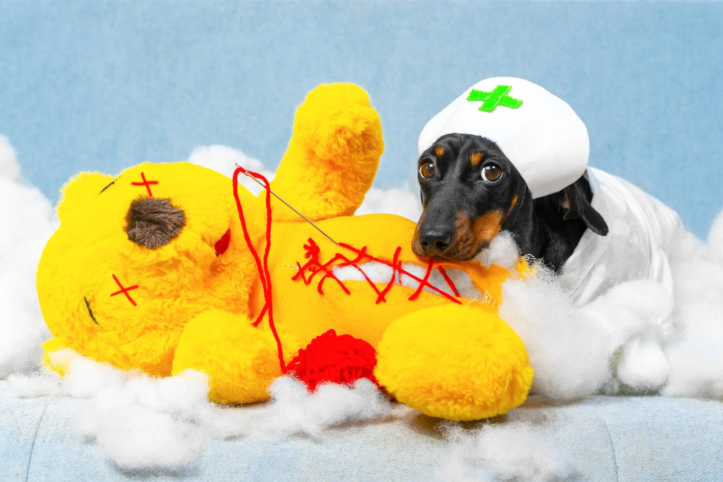 📢 Viz Whiz is LIVE! 