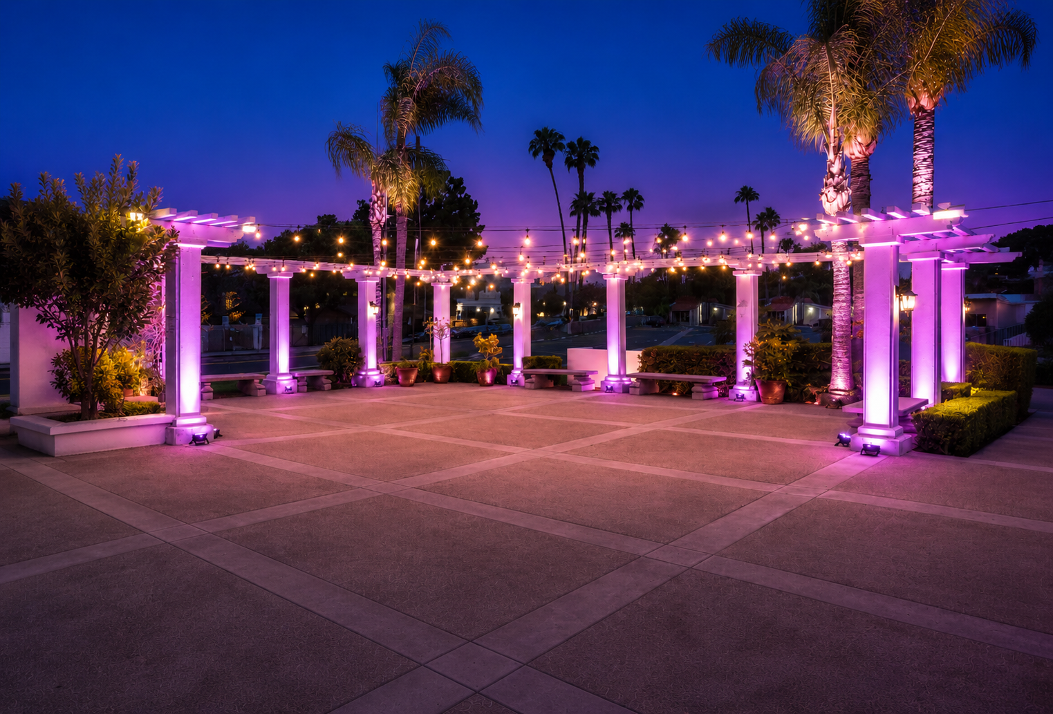 An outdoor pavilion decorated with pink and purple lighting, string lights hanging overhead, surrounded by palm trees and potted plants, during dusk or nighttime.