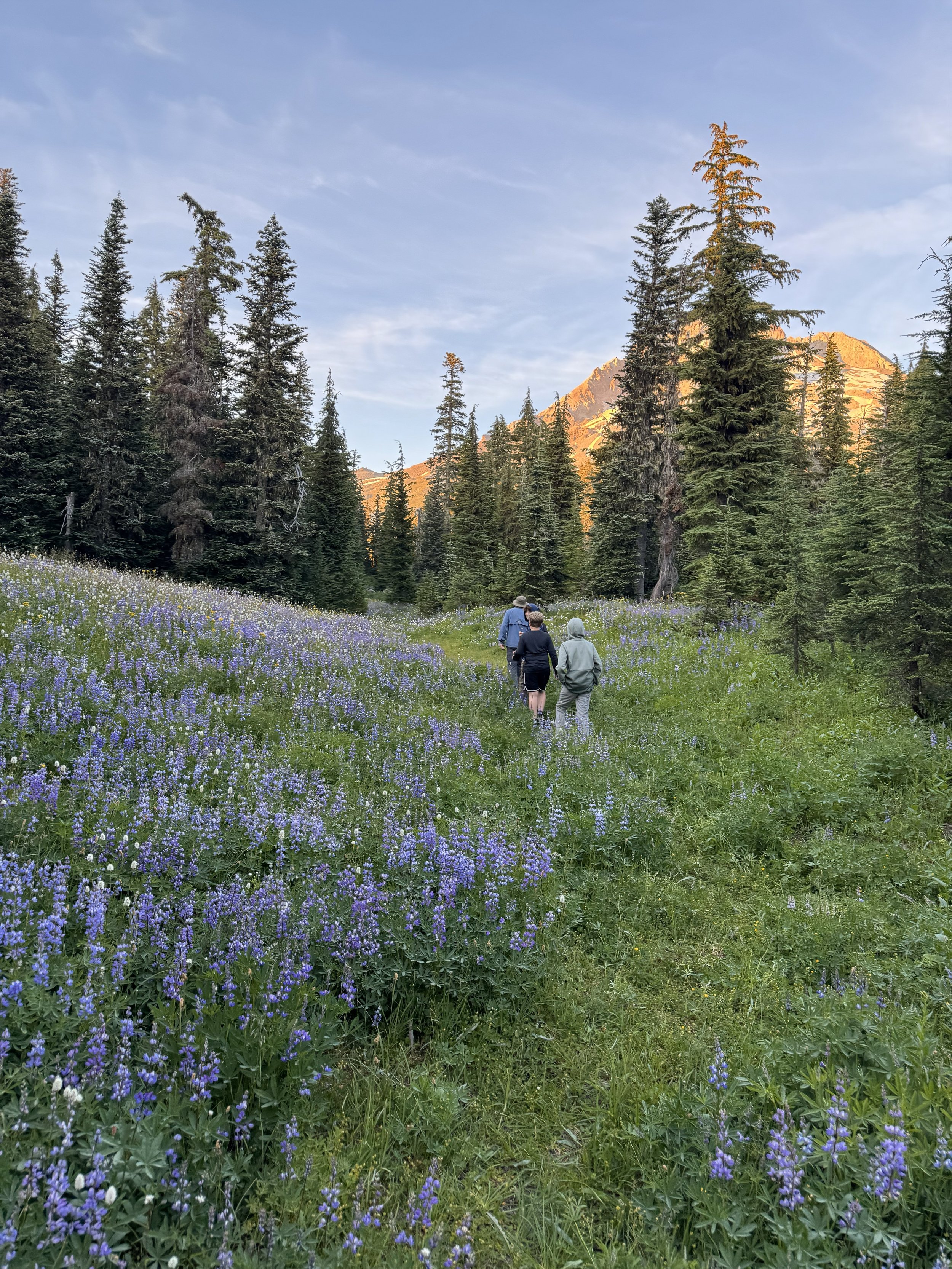 Call of the Wild: July 27-August 2