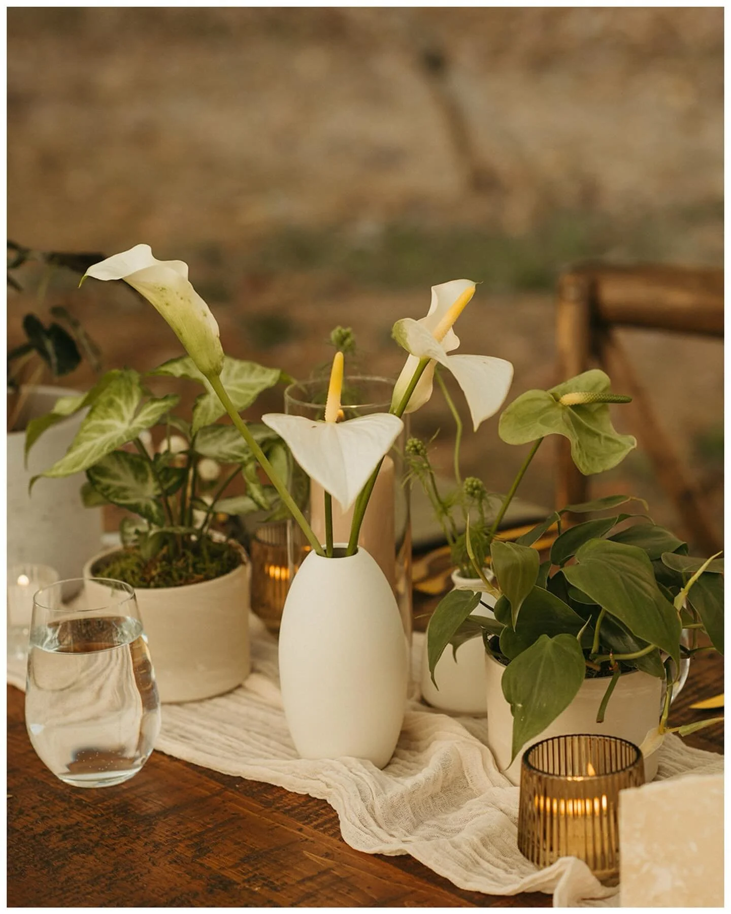 When the sneak peeks are this good, you just know the full gallery is going to be incredible! 🌿🤍 the best early October day for K &amp; M!

content creator: @thetwentyfourdiaries 
photographer: @_jessicaandshane 
florals: @milkweedfloralco &amp; @c