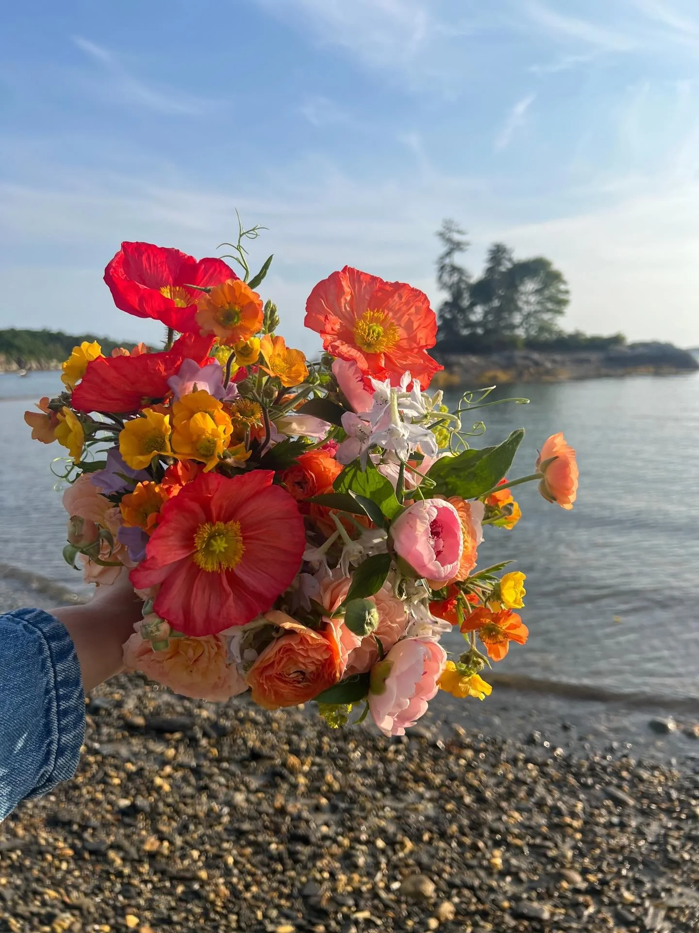 Who and what are you grateful for this Thanksgiving season? I&rsquo;ll go first&hellip;

🌸 My husband; the guy who always believes in me even when I don&rsquo;t believe in myself, who can smilax faster than anyone I have ever met and who&rsquo;s lov