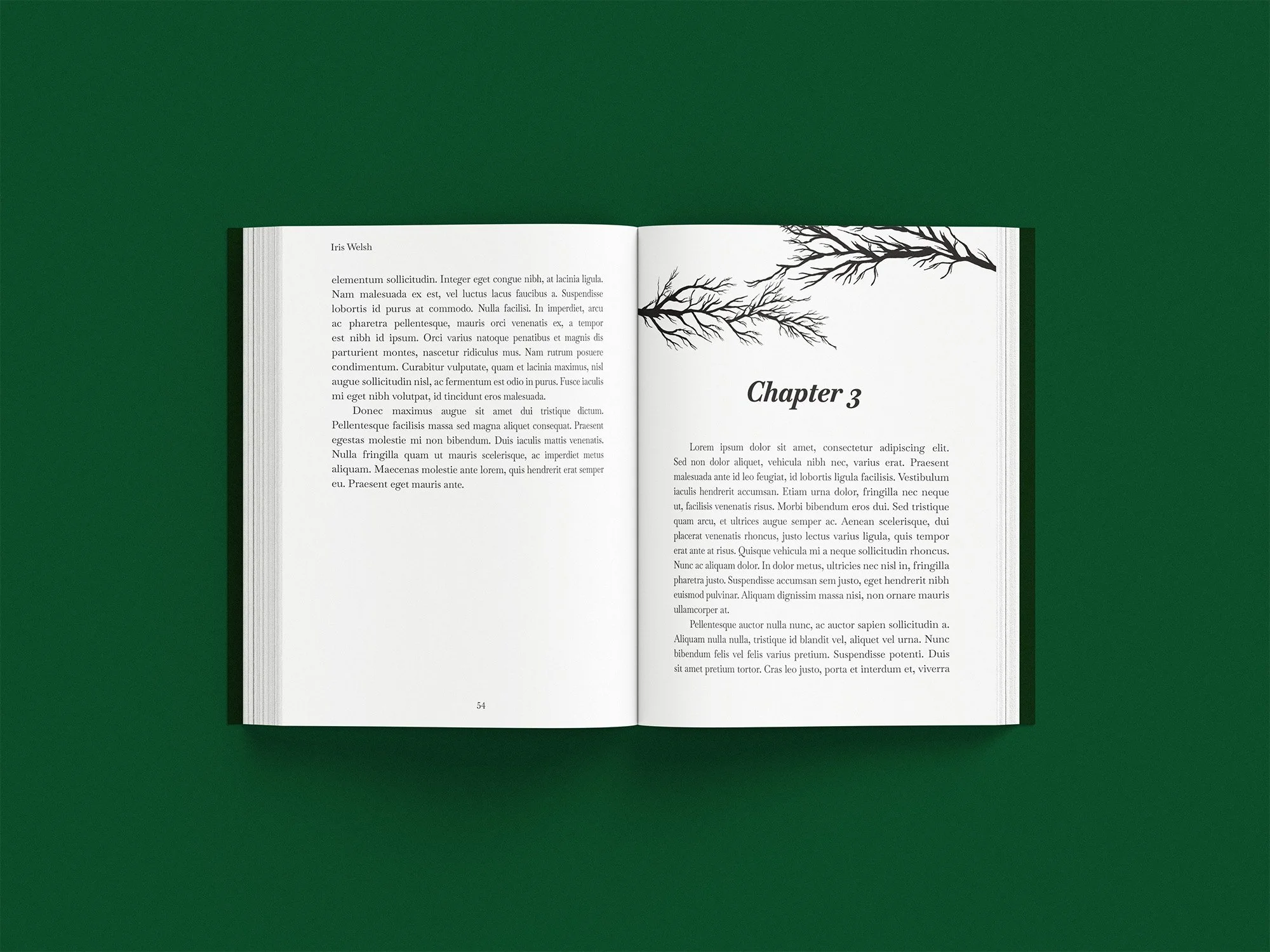 The Forest is Calling_Page Sample_001.jpg