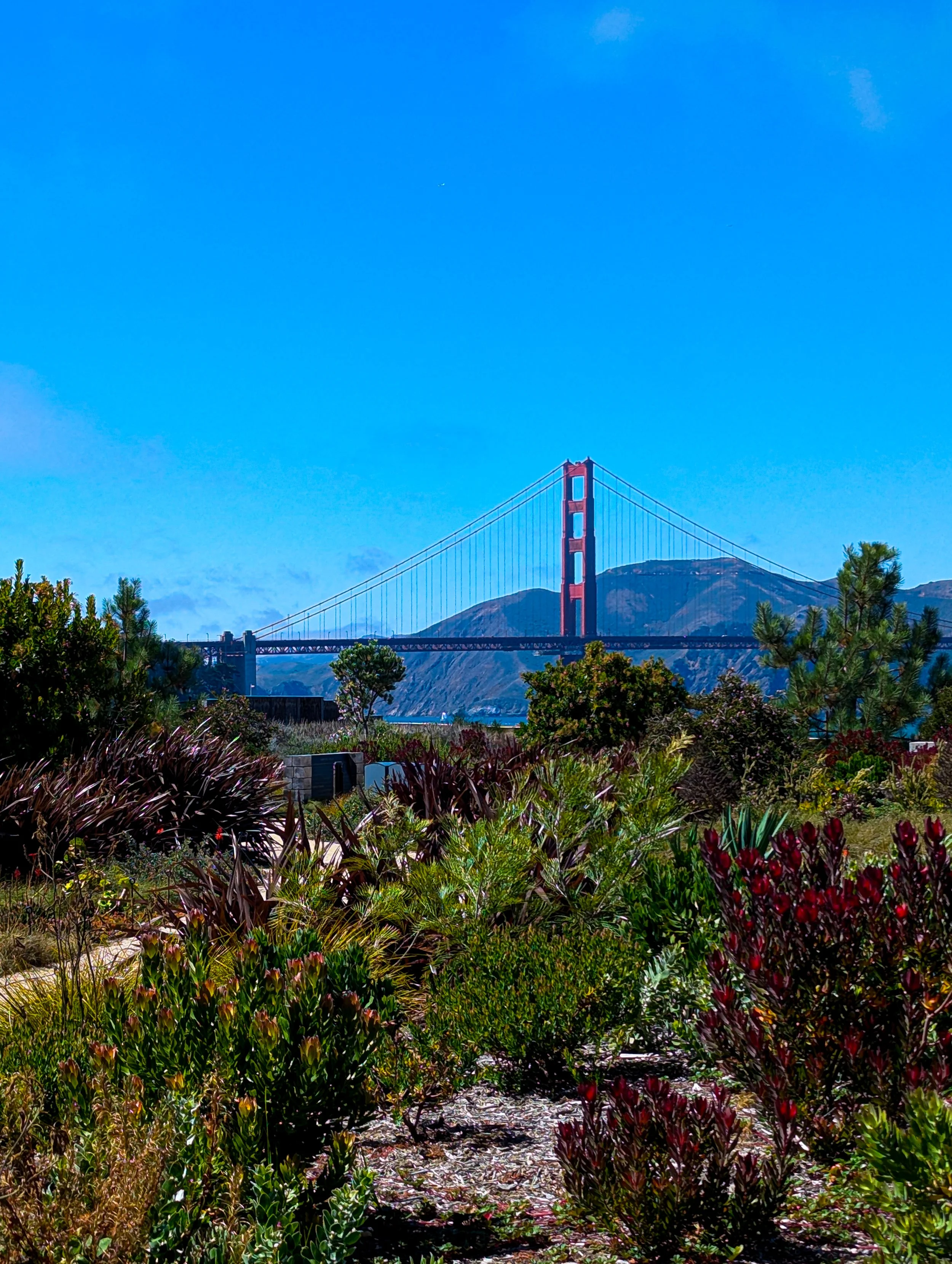 Unsplash_Maria_Carranza_-448.jpg