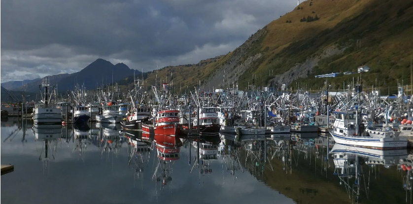 RFP Kodiak Wildsource Facility