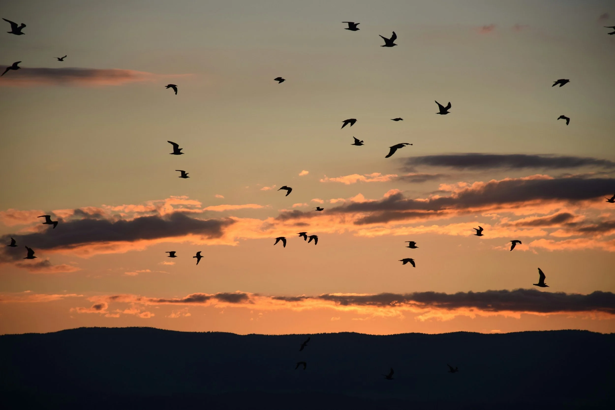 The Art of Being Still