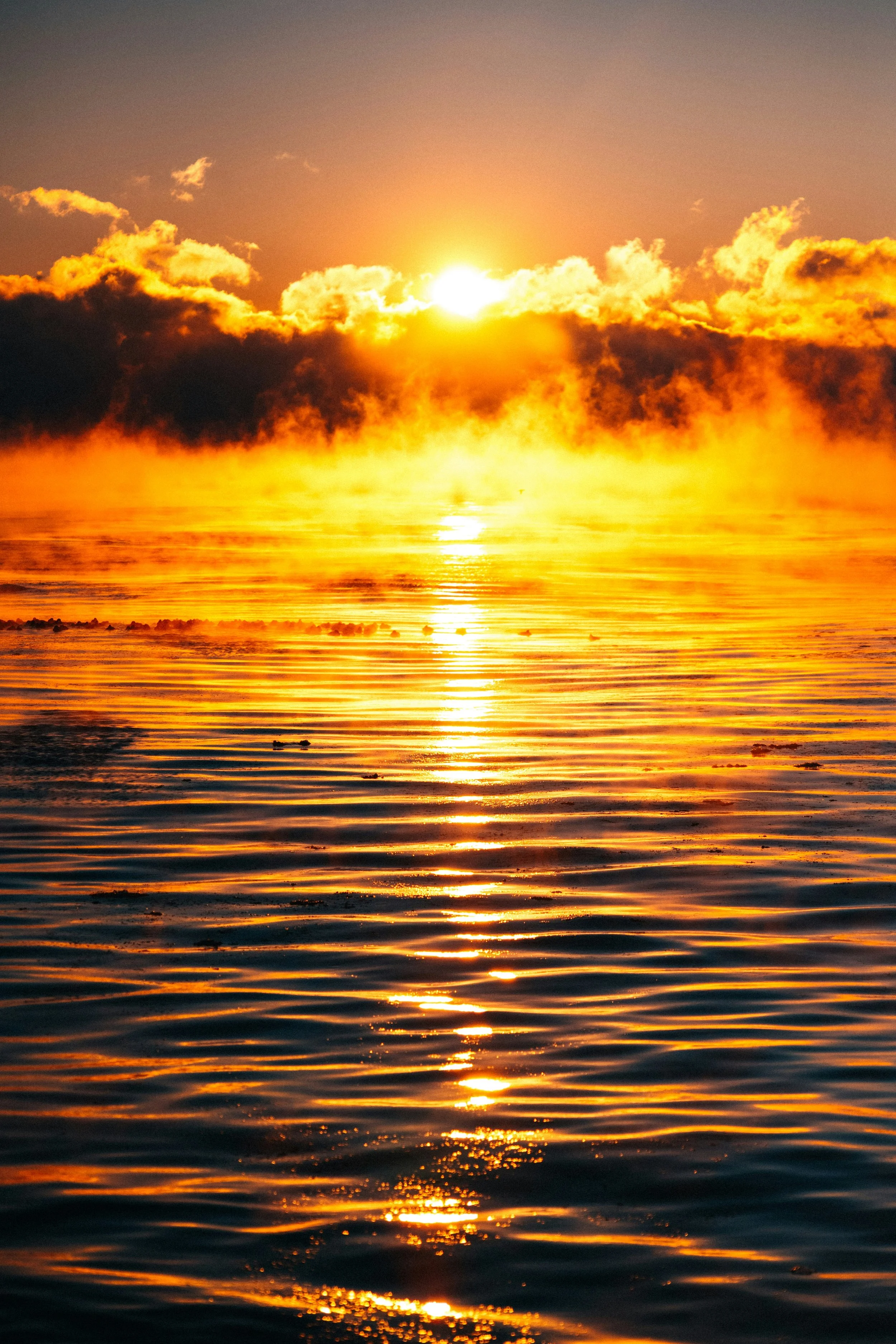 A New Dawn
