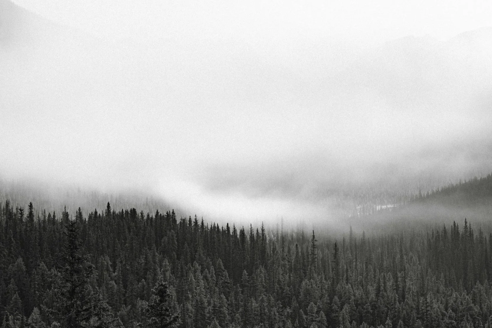 unsplash-image-LSvnvfHPtzQ.jpg