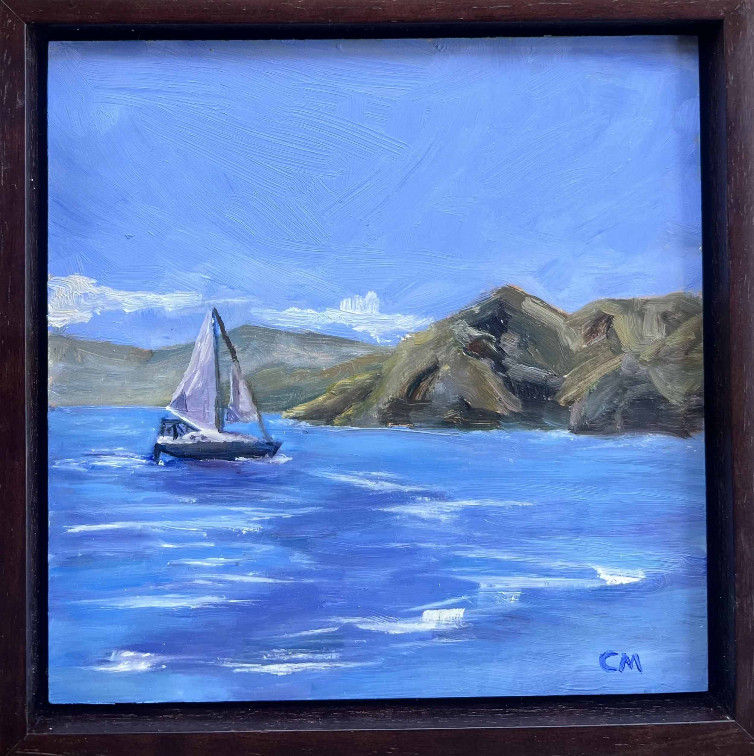 Off The Coast of Santa Catalina
8"x8"
$384