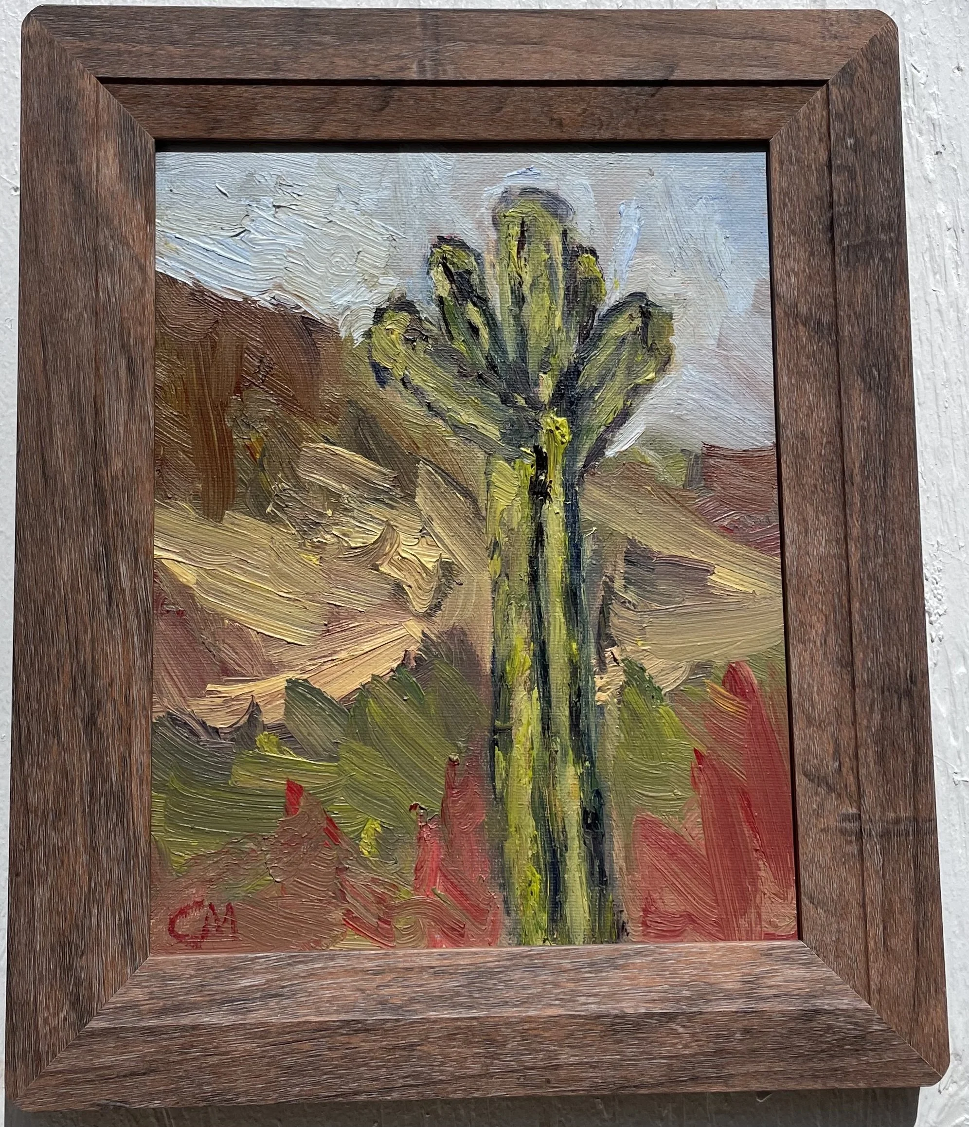 Desert Succulent .jpg