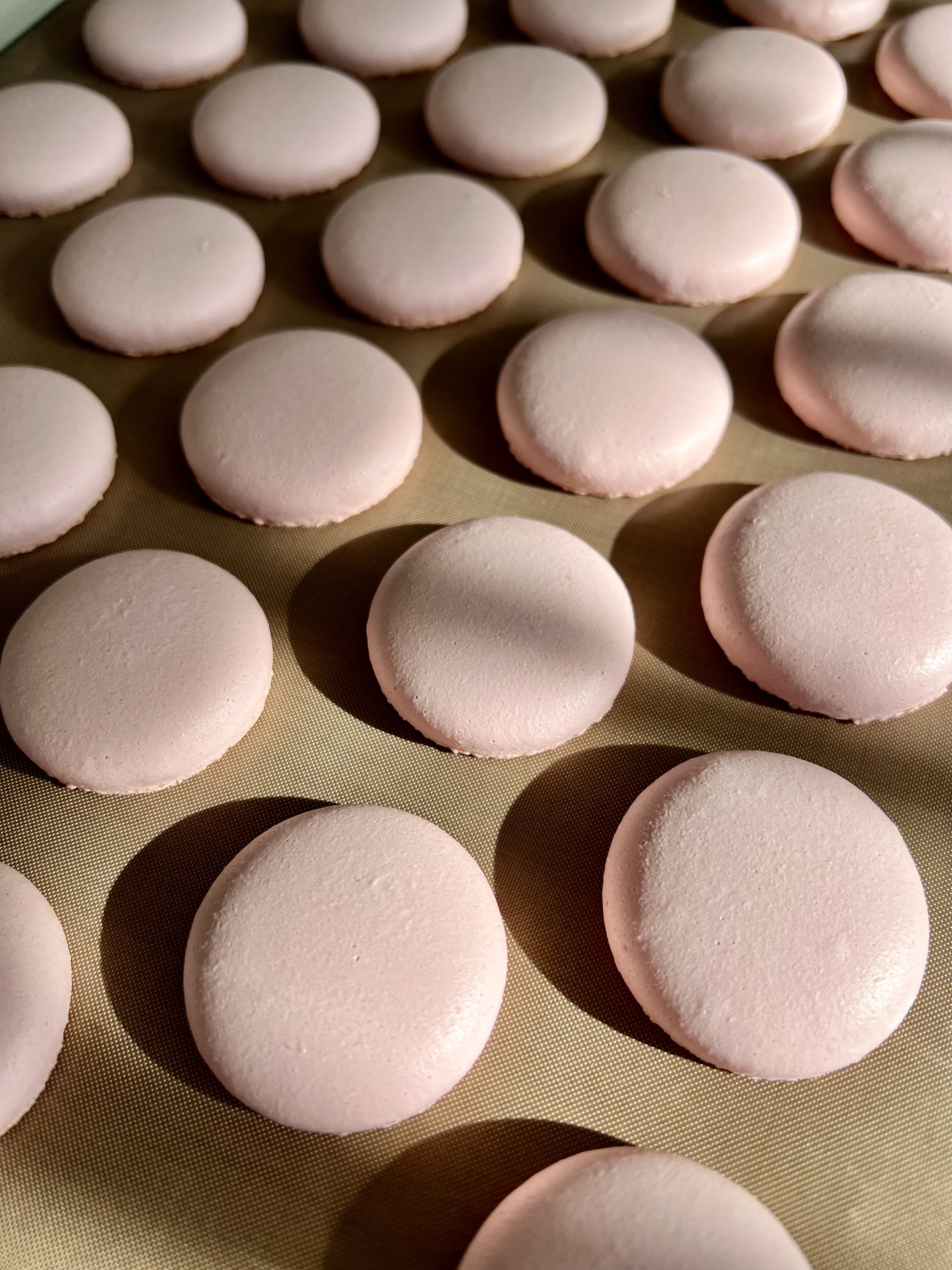 Macaron shells after baking