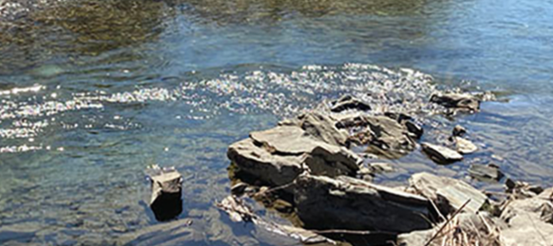 One Steady Step at A Time