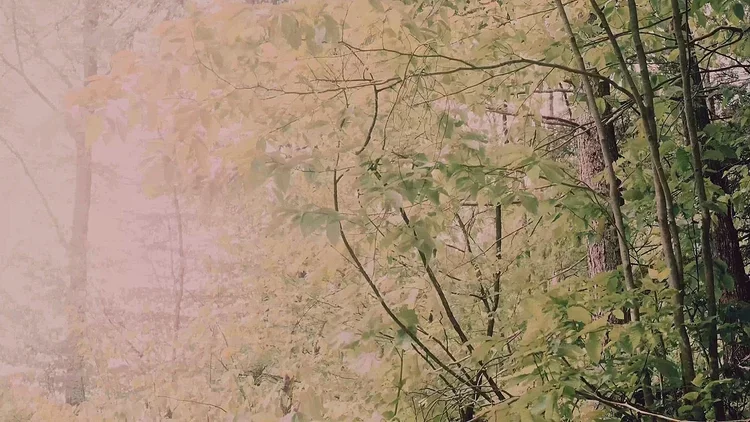 Grieving is a Personal Journey