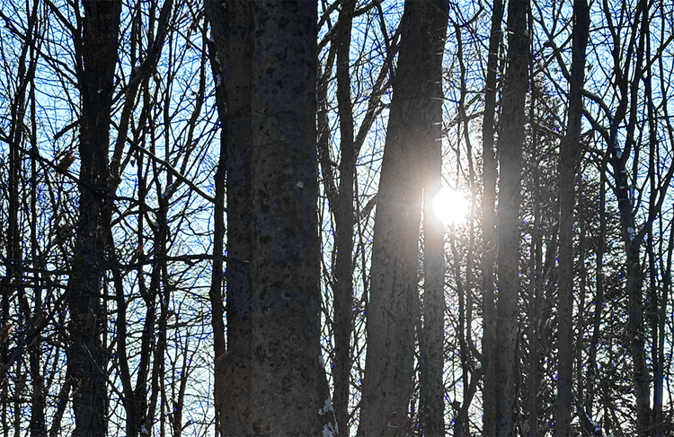 Kumari Patricia’s invitation to you on this Valentine’s Day