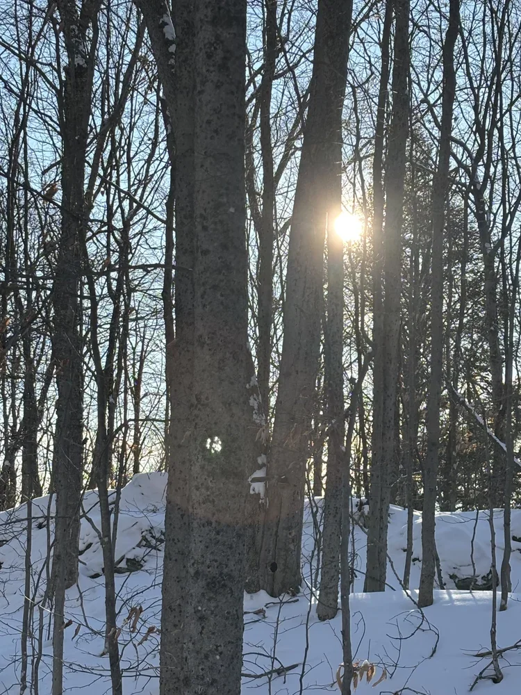 Stay in Touch on Your Journey to Joy