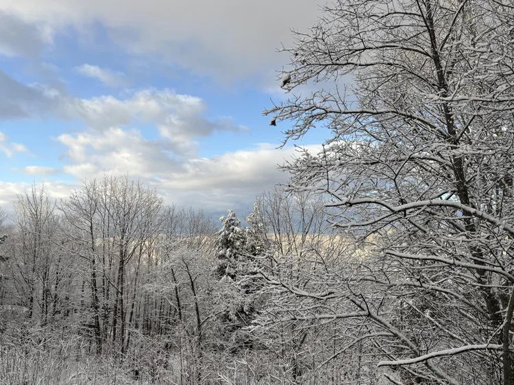 My wish for your joy…