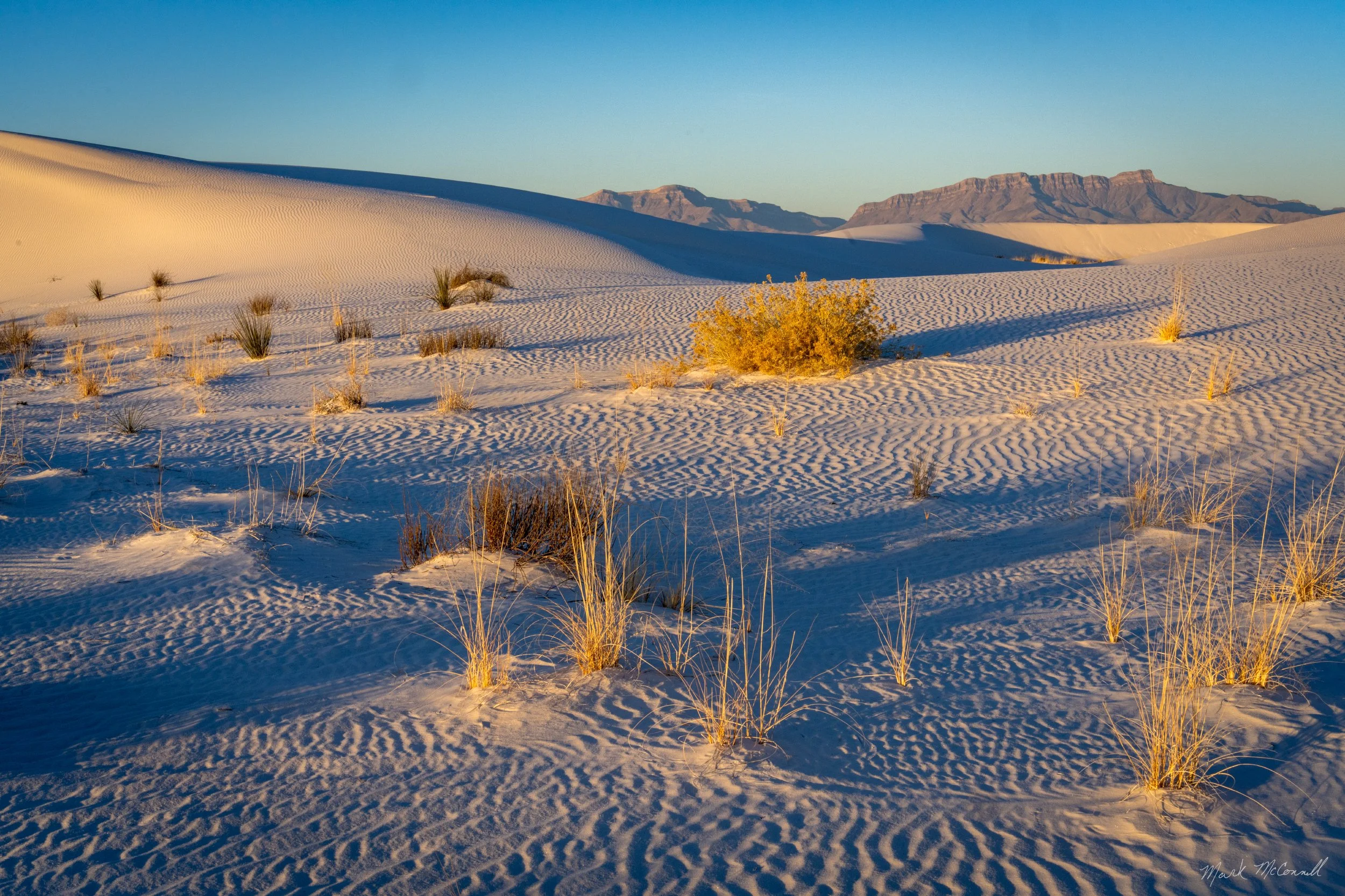 Early Morning Light - Final WS.jpg