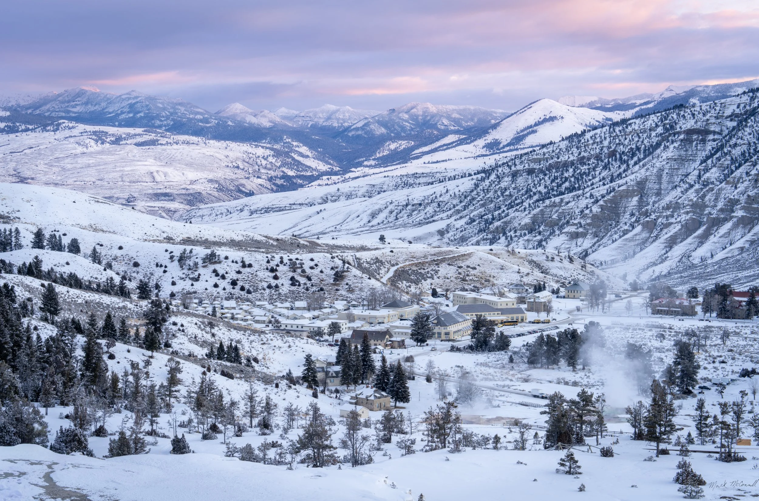 Morning Glory in Hot Springs, Yellowstone NP