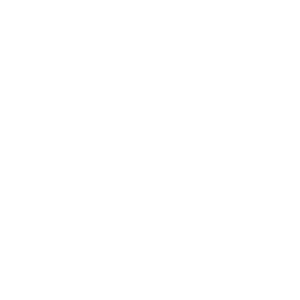 Quantum Nexus