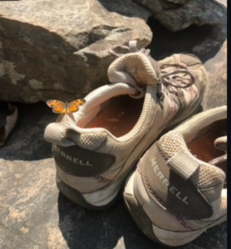 Grab your favorite shoes because we are climbing this mountain, TOGETHER!
-
Your passion is your mission and we would to help you grow your mission and impact. As women who have worked in the nonprofit sector for most of our lives (20+ years), we kno