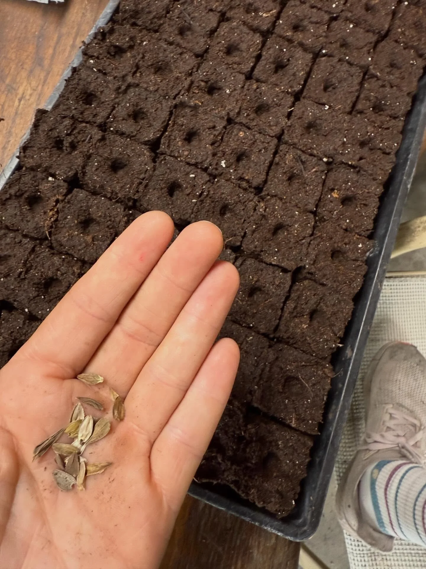 Time to plant seeds and dream big. What financial goals are you aiming for? What program would really propel your mission forward? How can we serve more people and be a greater part of the community?
-
#foodforthought #letscollaborate