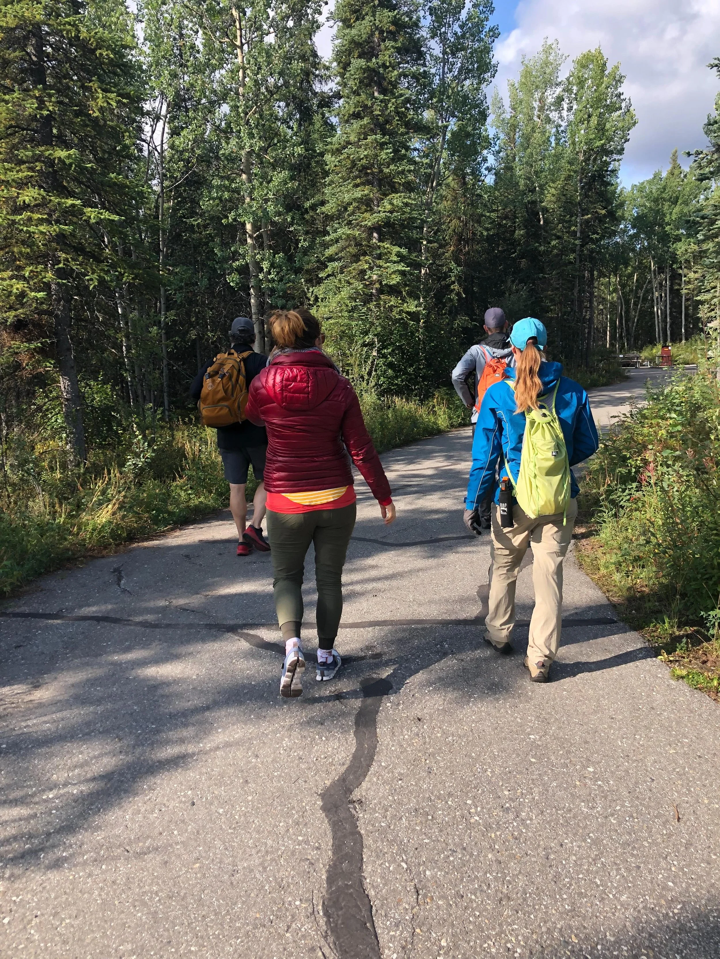 Need help navigating your options? Not sure where to start?  We can help! Email us to set up a free introductory call and we will climb the mountain together :)
-
📸: Denali National Park, Alaska