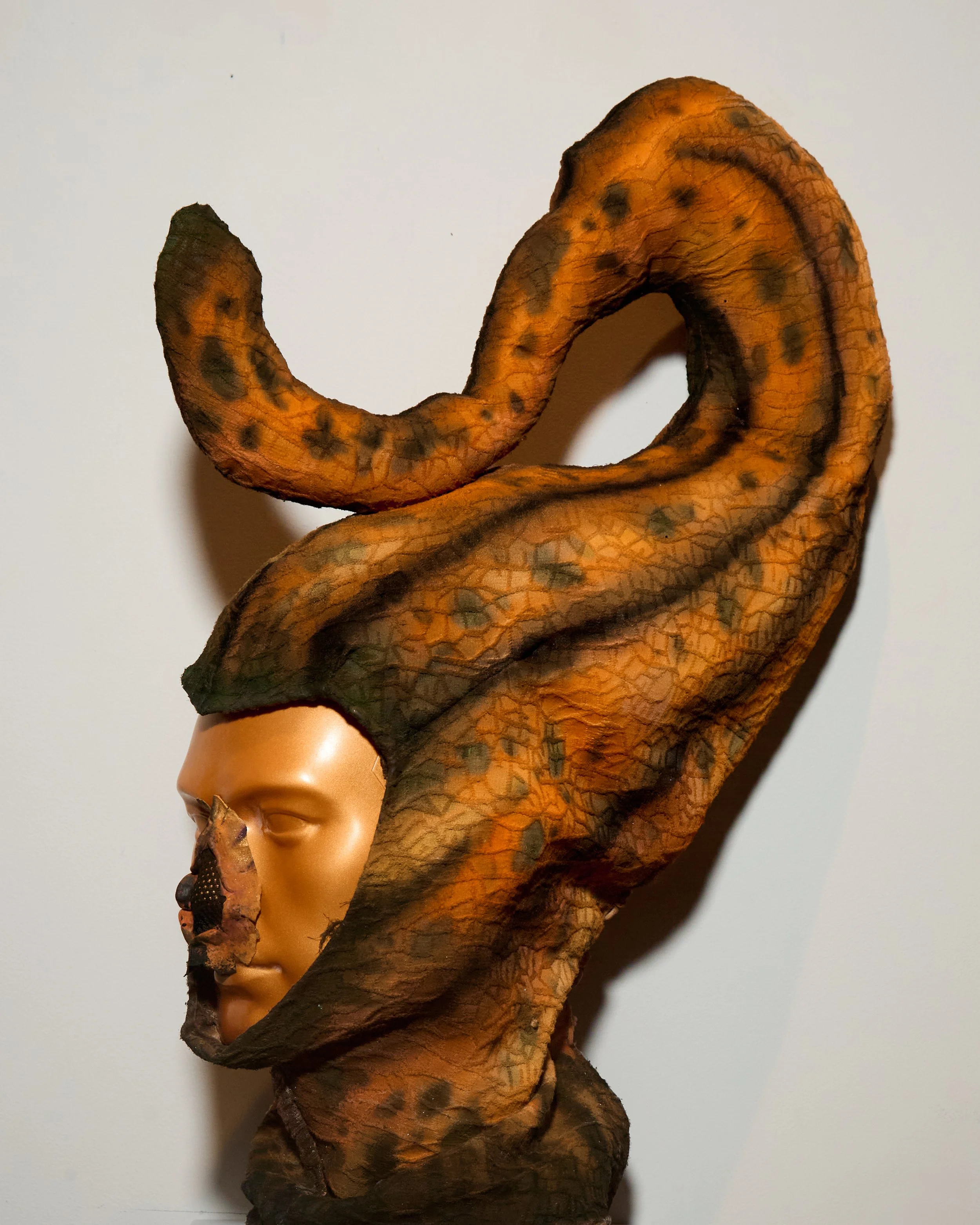 TaxidermaGallery9.jpg