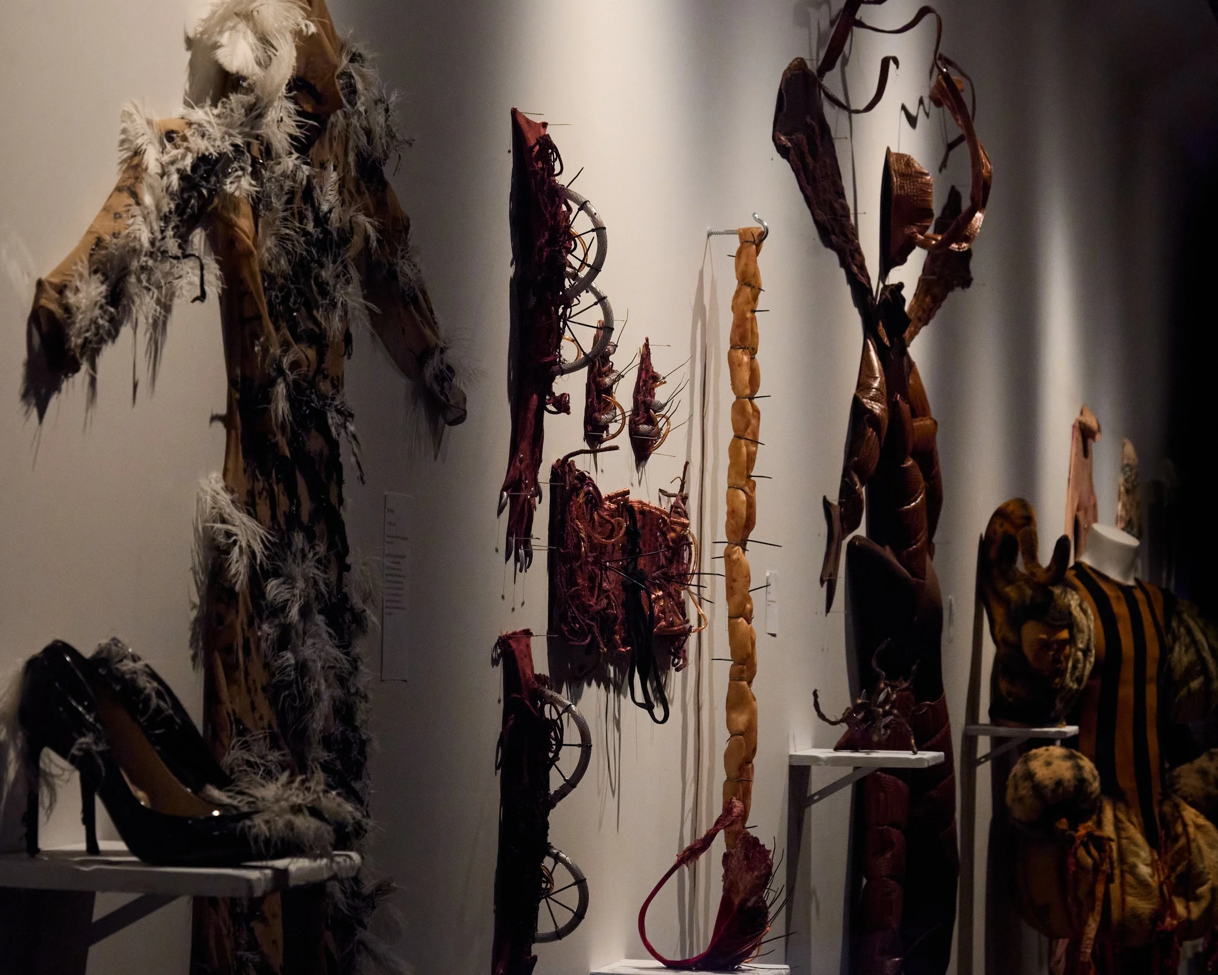 TaxidermaGallery57.jpg