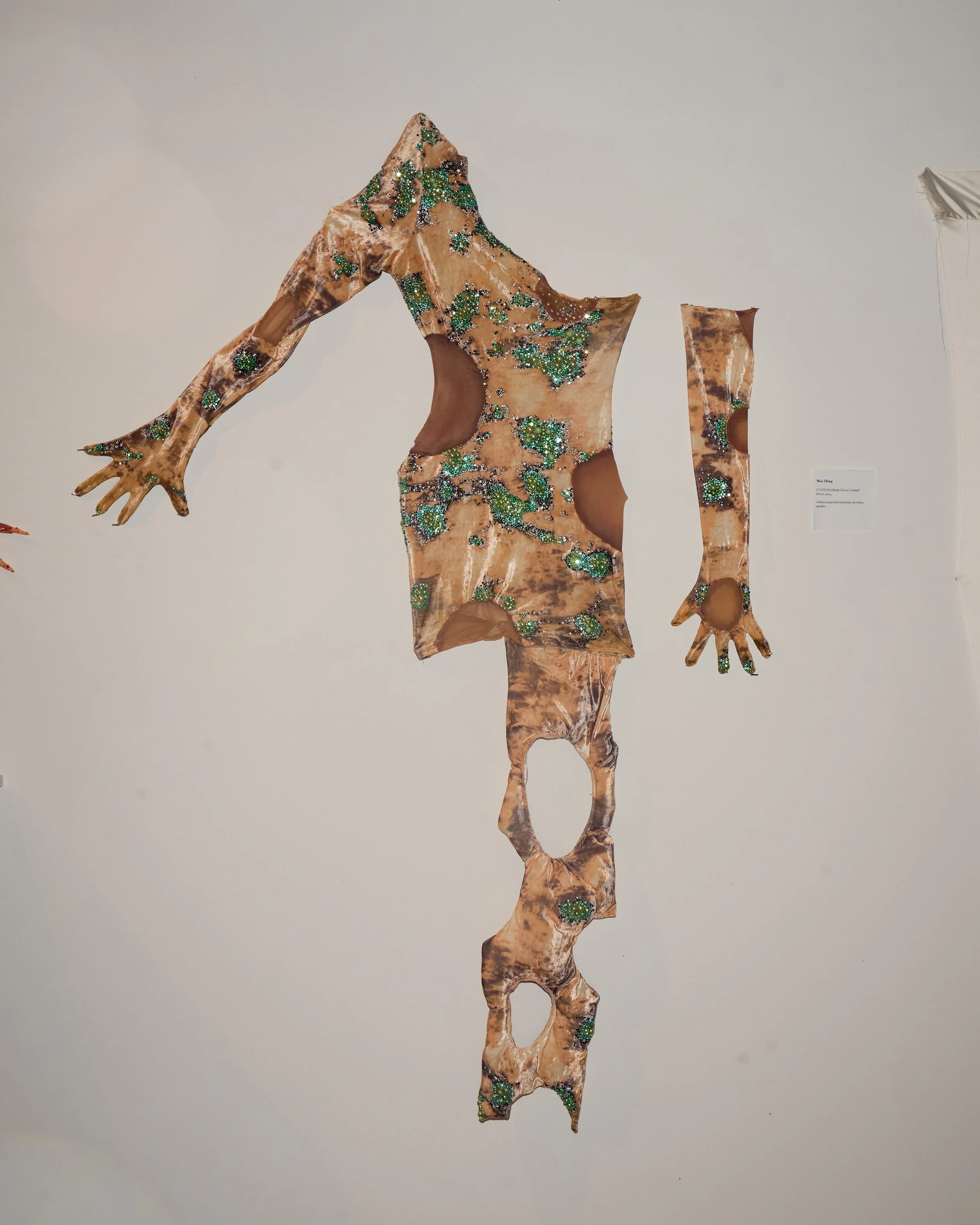 TaxidermaGallery4.jpg