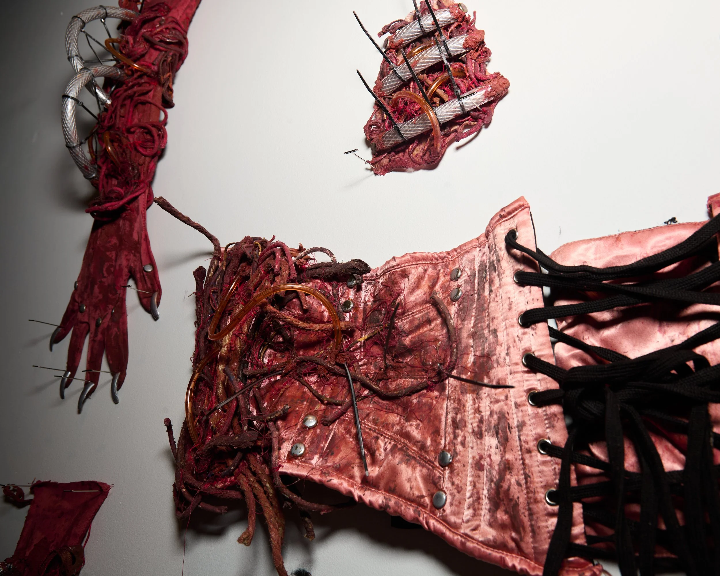 TaxidermaGallery39.jpg