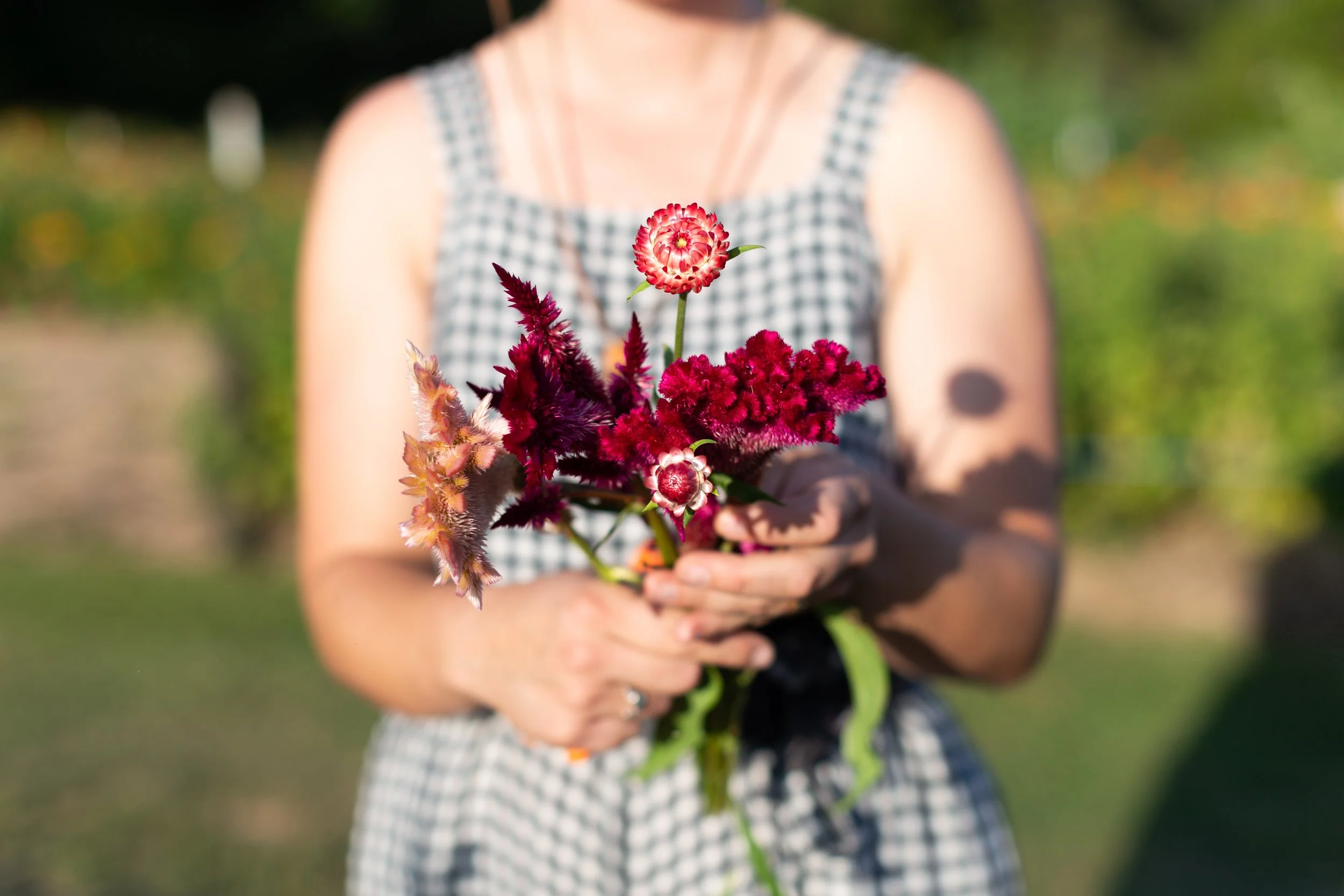 2024flowerfarm-0345.jpg