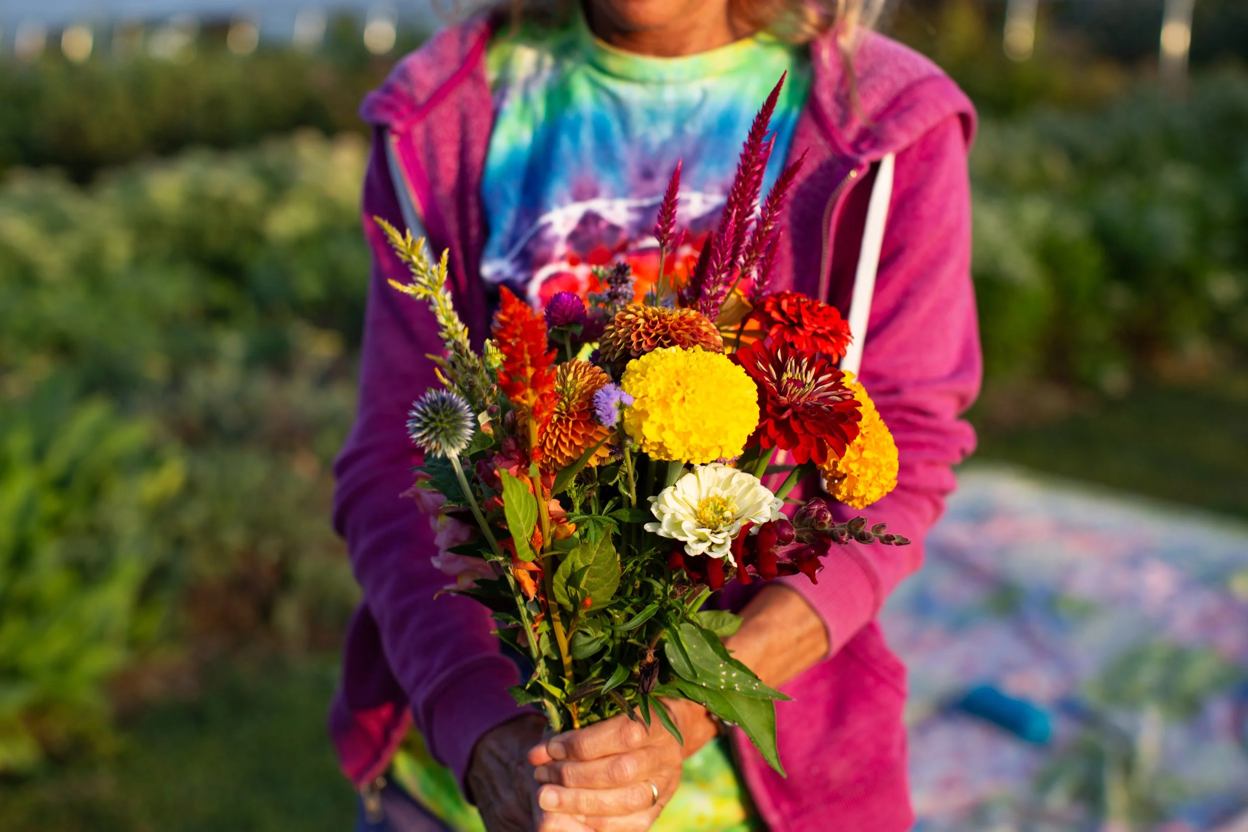 2024flowerfarm-1224.jpg