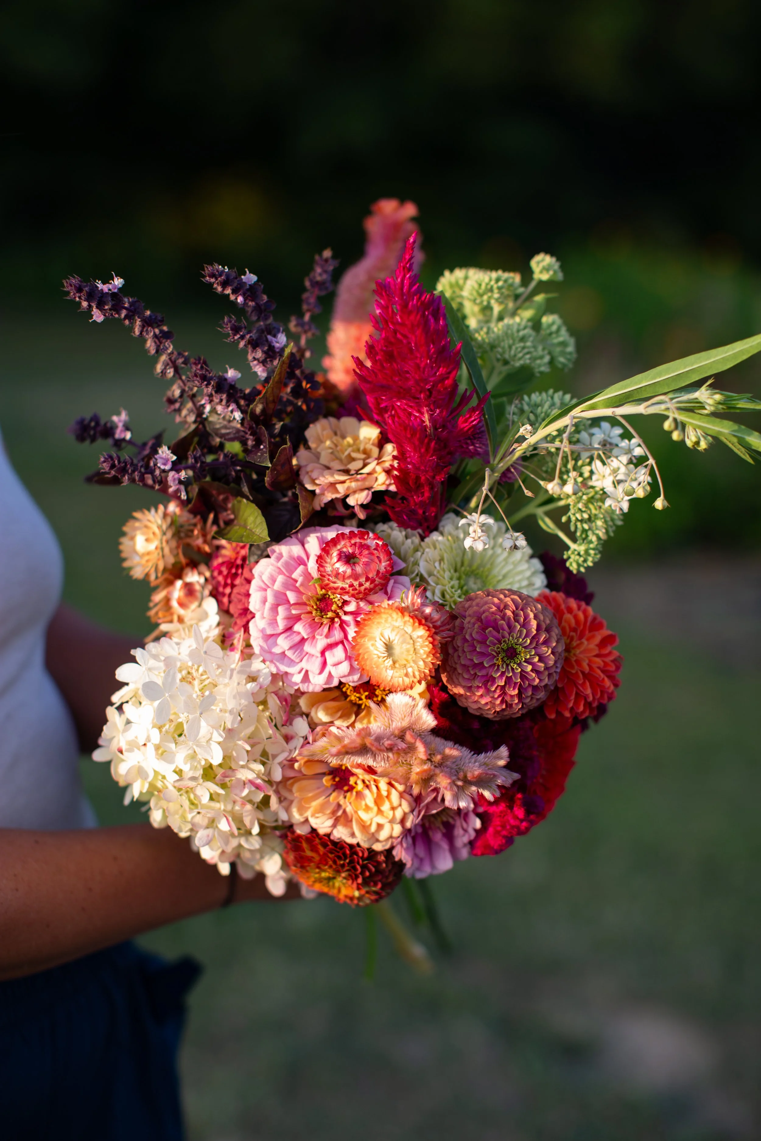 2024flowerfarm-1180.jpg