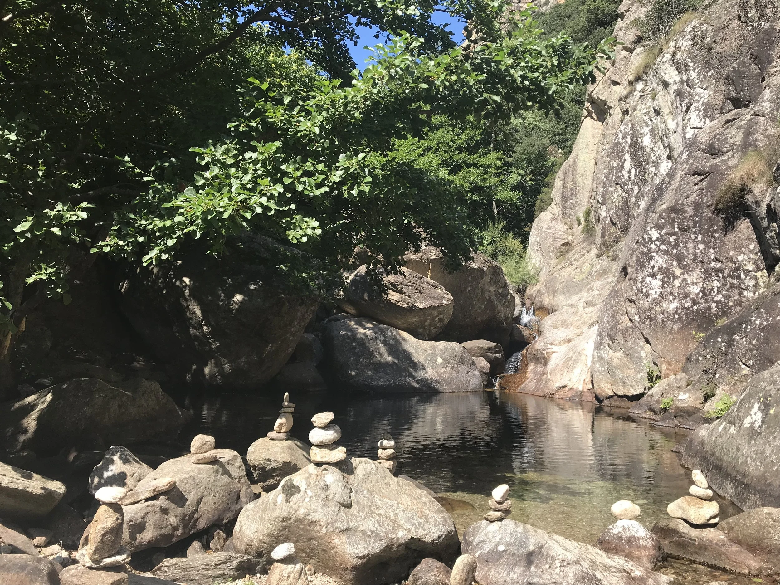 WILD WATERS 29 Aug - 5 Sept 2026