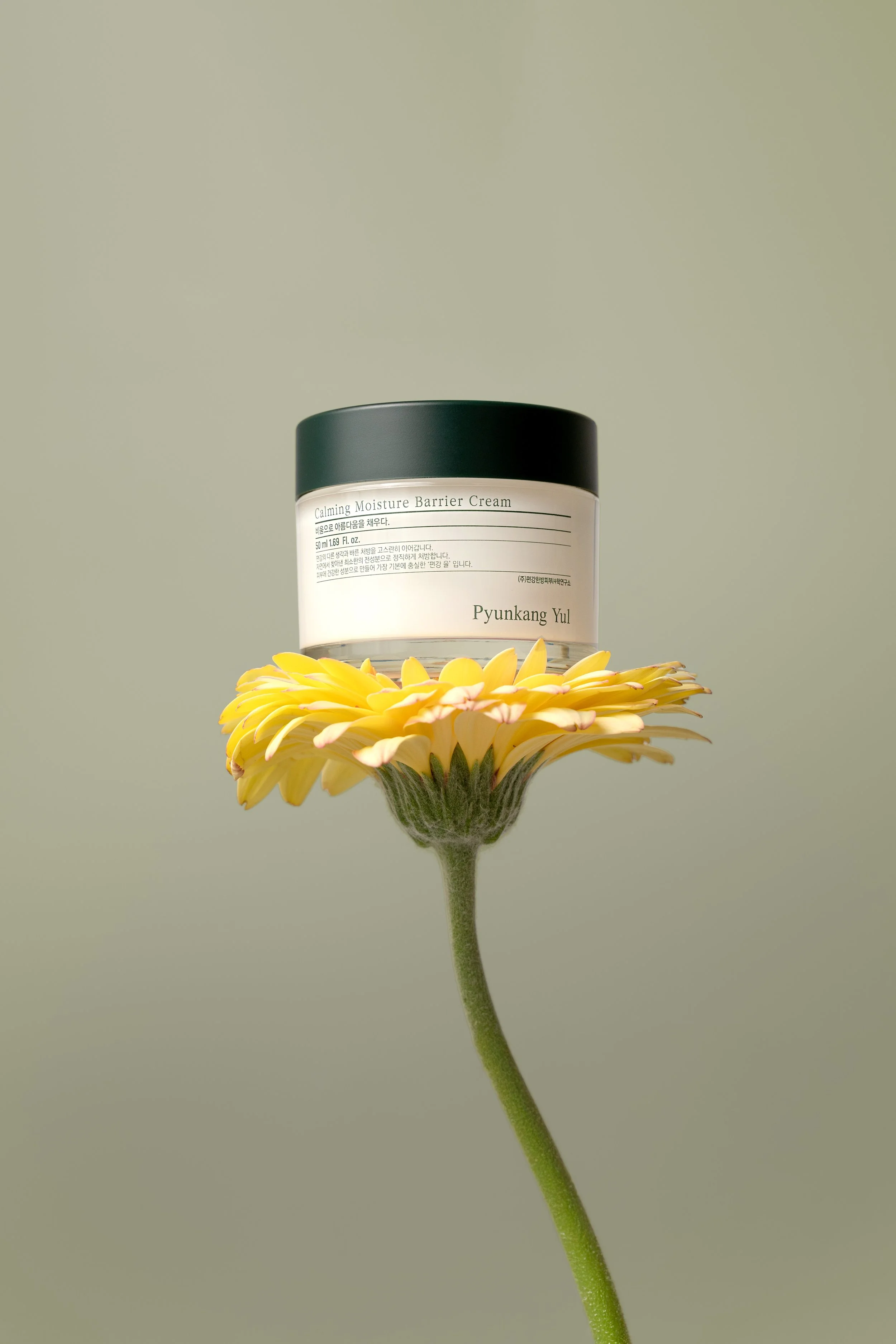 Final_MoisturizerFlower.jpg