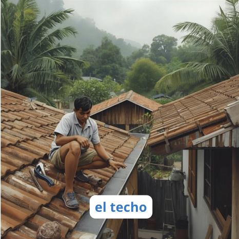 el techo - the roof 