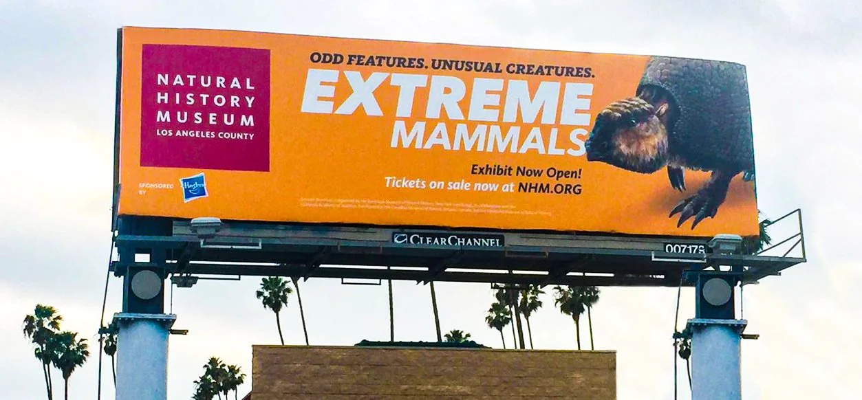 exm_billboard.jpg