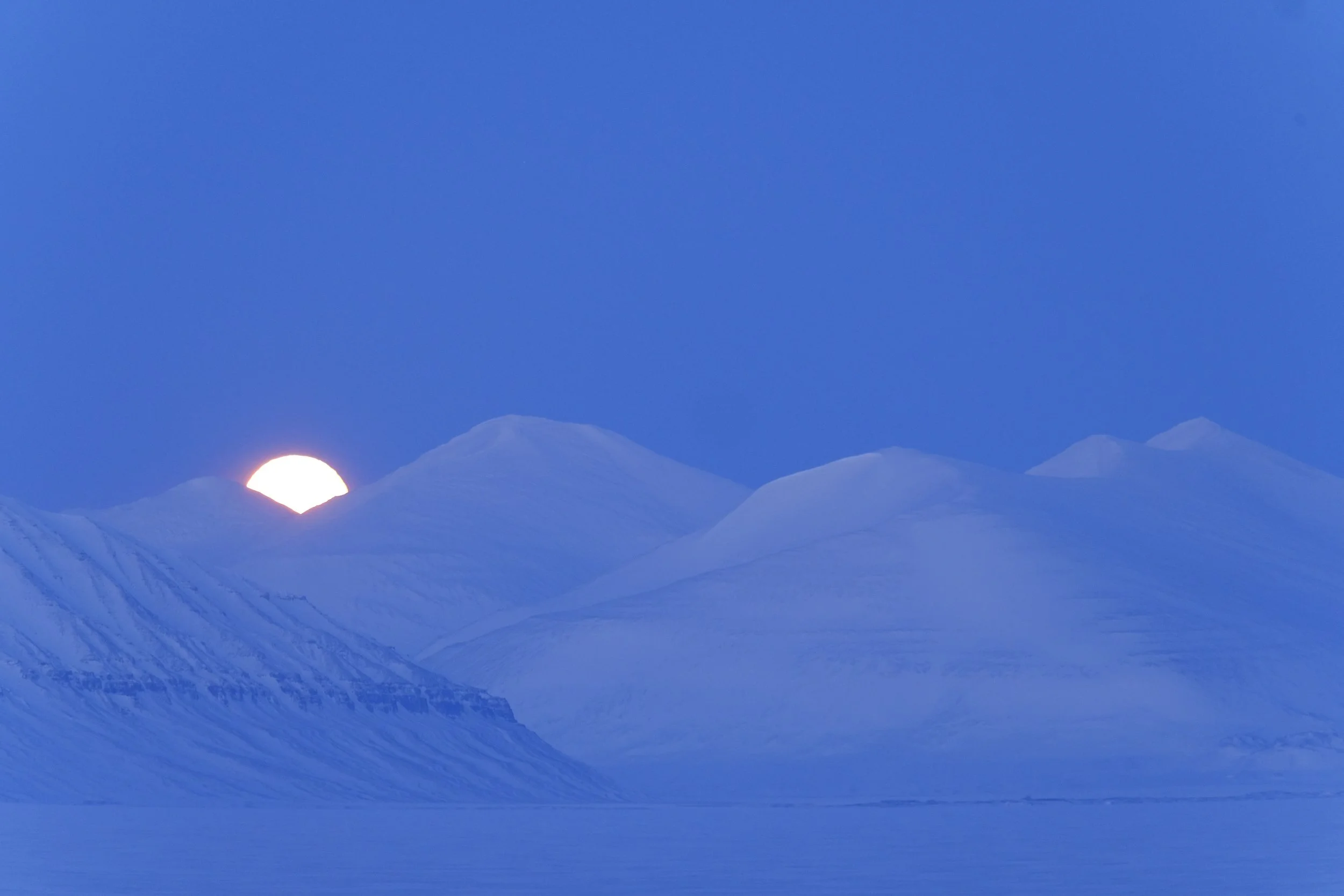 🌿 Grief, Trauma, and the Work of Our Time