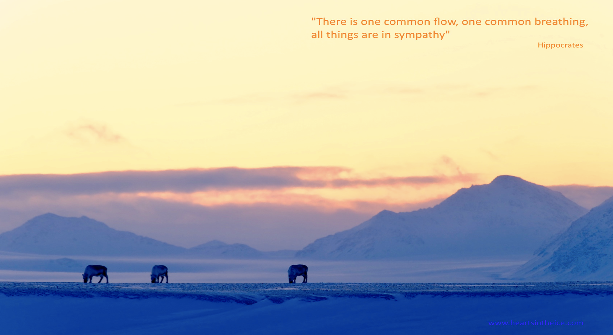 Arctic, Svalbard, Climate Change, Silence