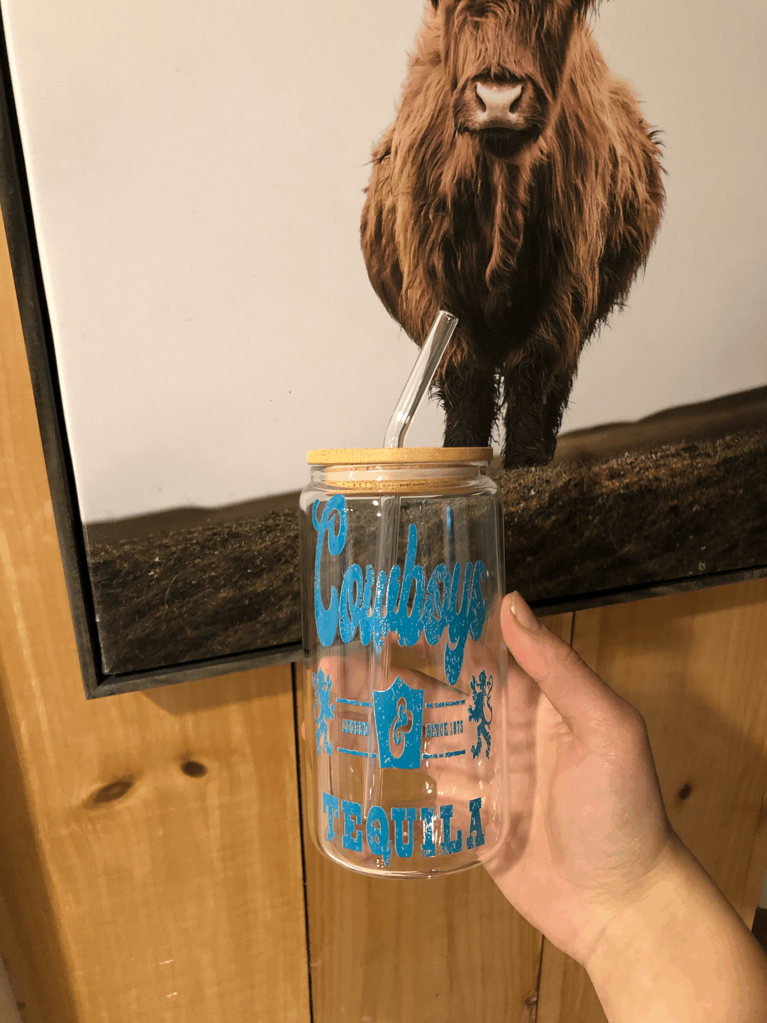Cowboys & Tequila Glass Tumbler