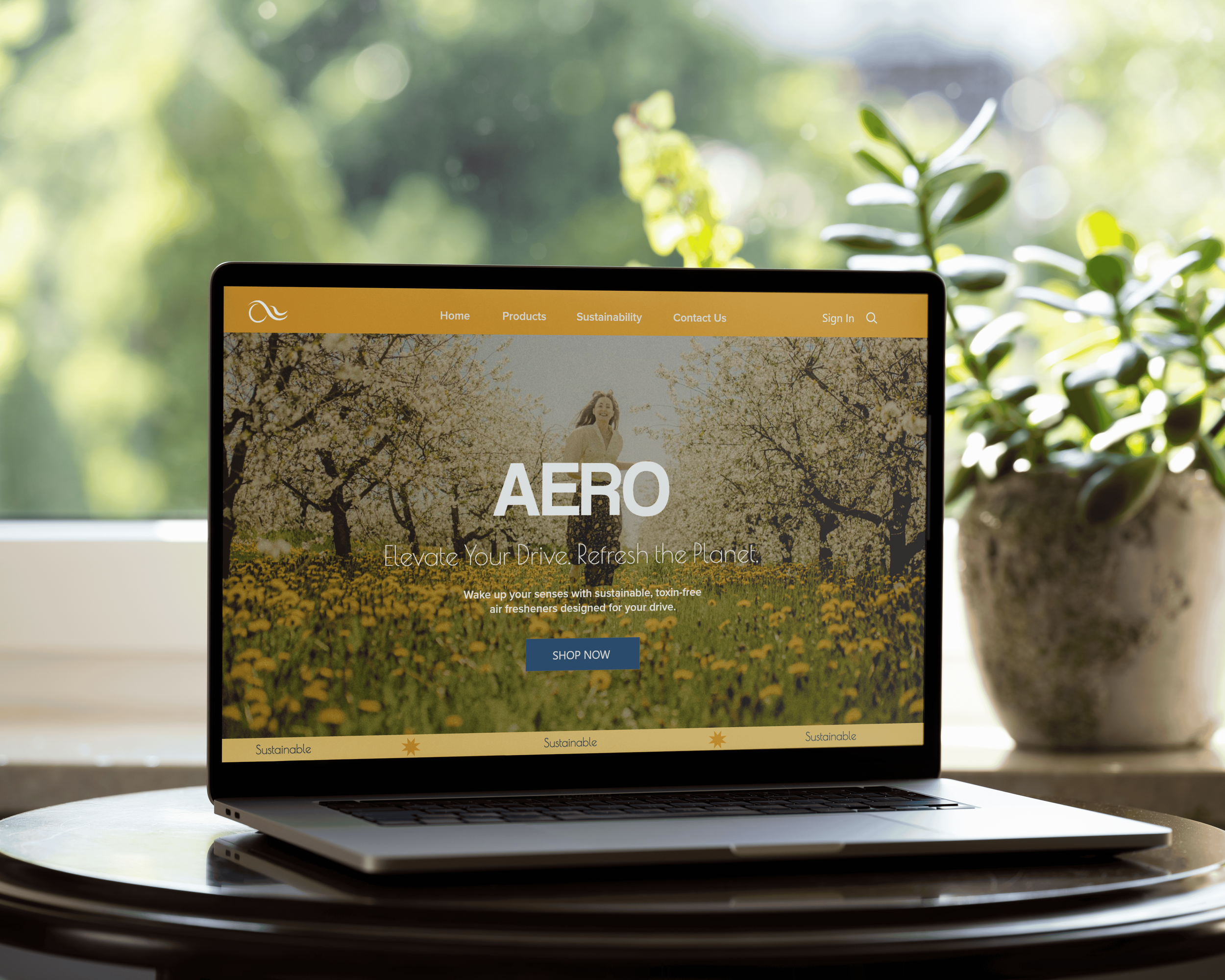 Aero-home-ver1-laptop.png