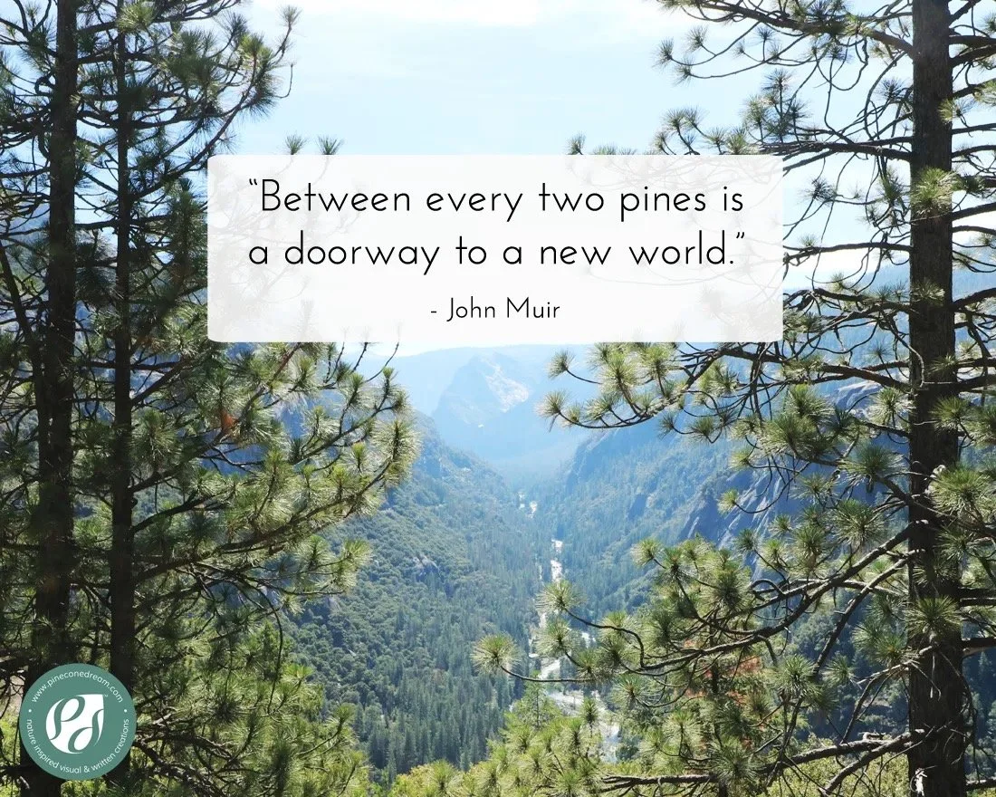 Poetry in the Pines & Hiking Club Gathering