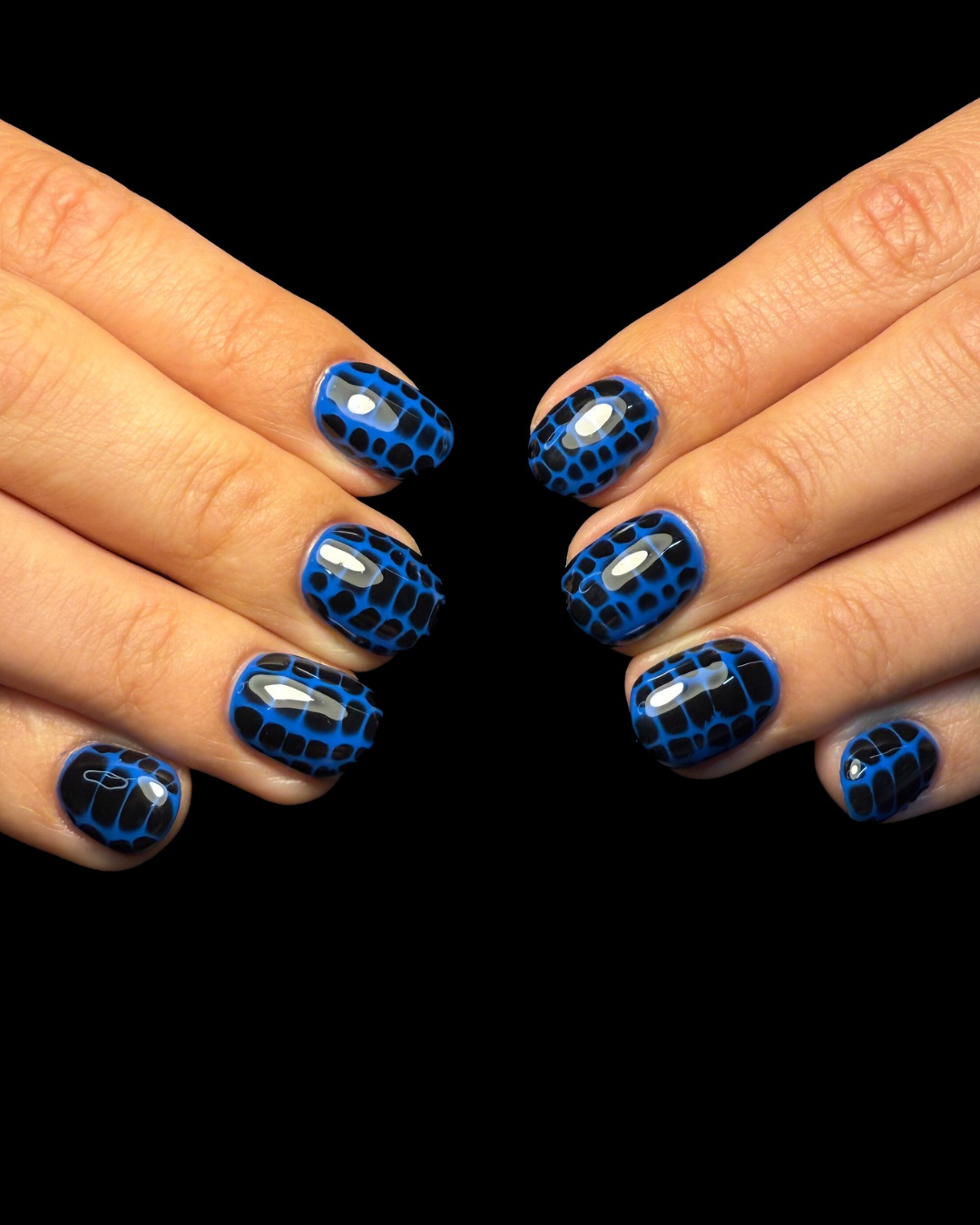 Untitled design 6.png