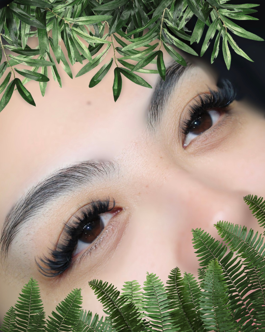 Untitled design - 2.png