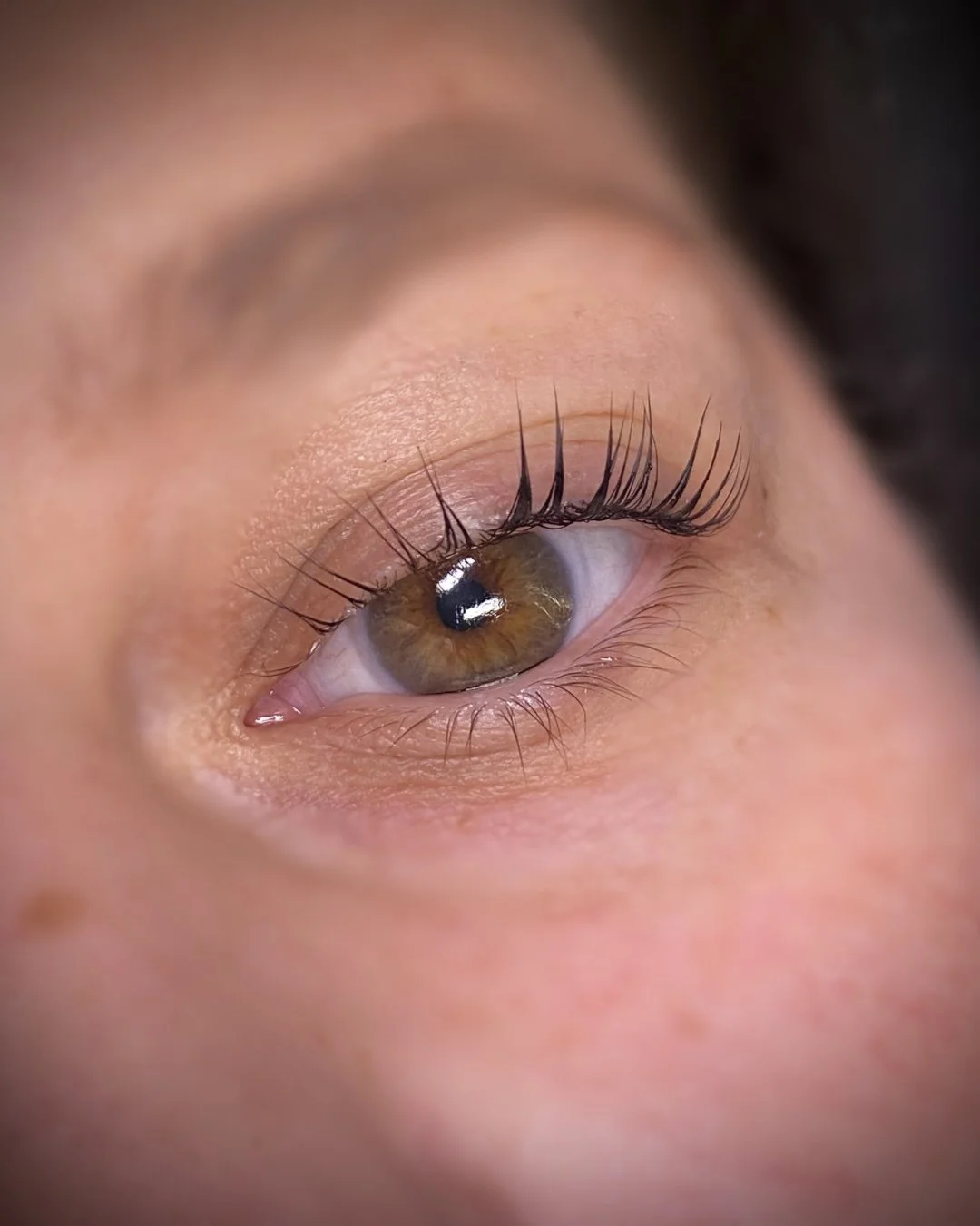 Untitled design.jpeg