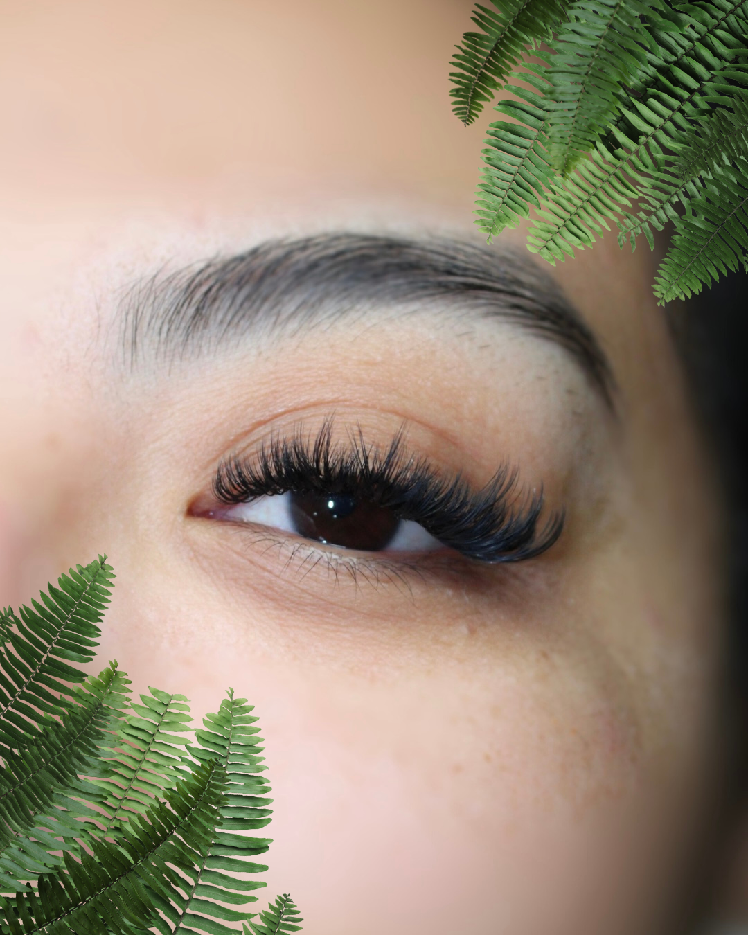 Untitled design - 1.png