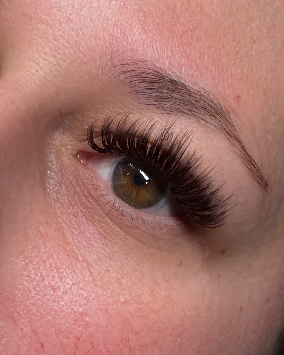 Untitled design 15.png