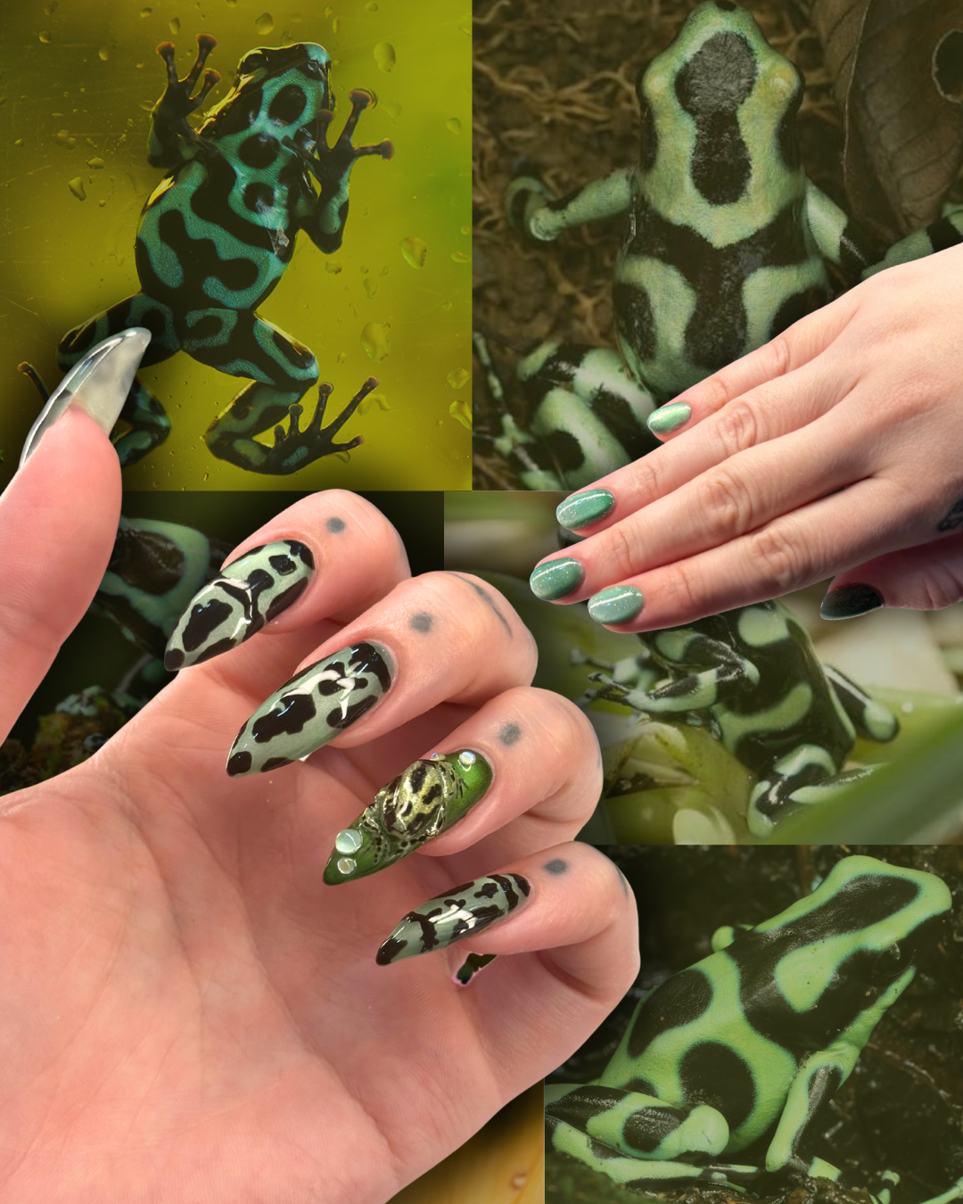 Untitled design 4.png