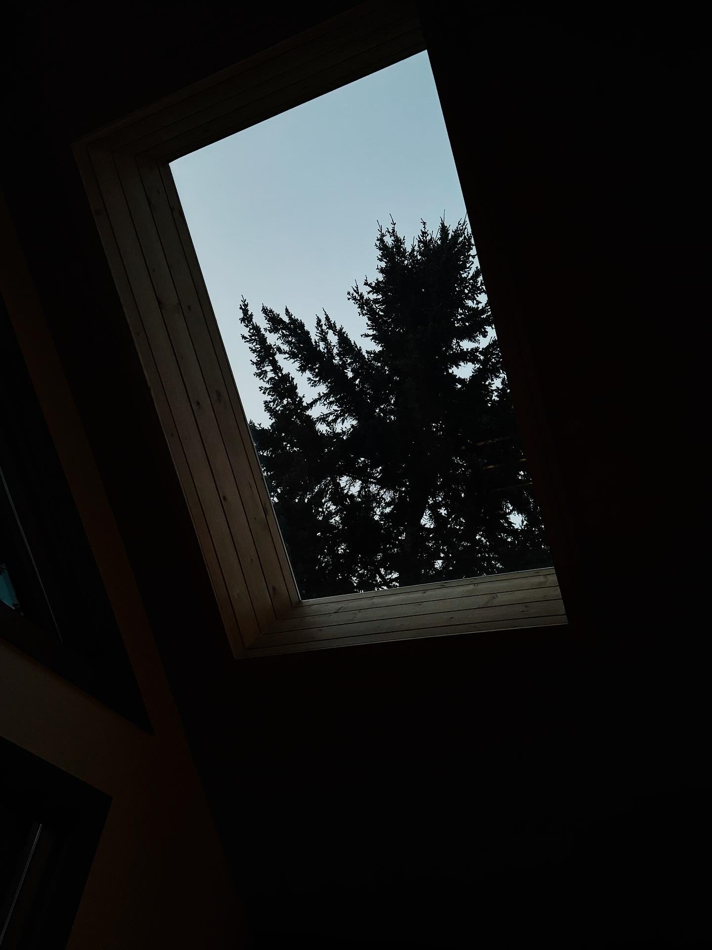 When we shed our old skin, we don&rsquo;t really know who we will be until we&rsquo;re in the flesh of our new identity. As we move through that transition, it&rsquo;s uncomfortable because the only way we get there is to embrace the unknown.

Life i